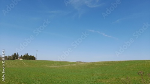 green field and blue sky