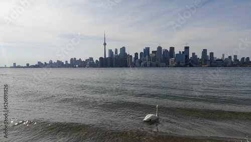 downtown skyline from the lake