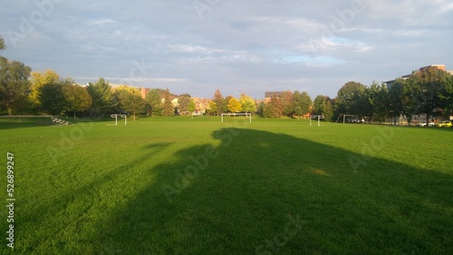 landscape in the park
