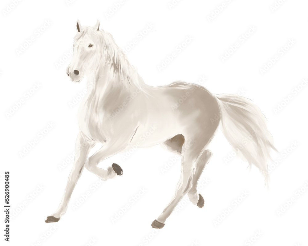 Fototapeta premium horse isolated on transparent background