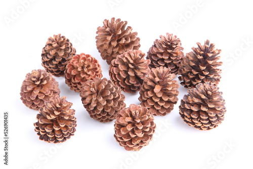 Pine cones isolated on white background