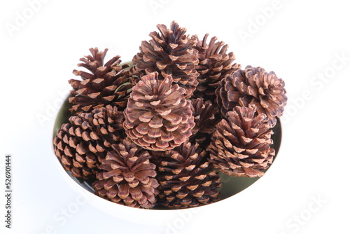 Pine cones isolated on white background