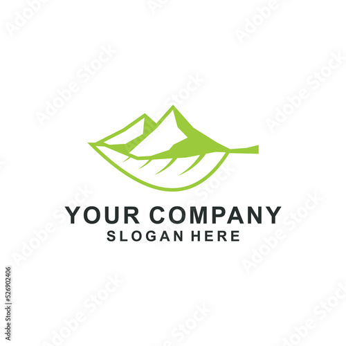 mountain logo design
