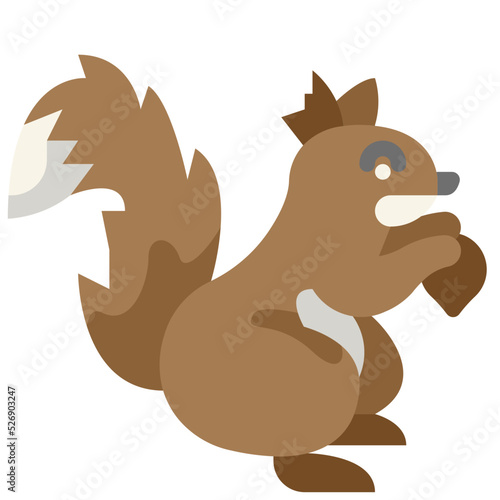 squirrel