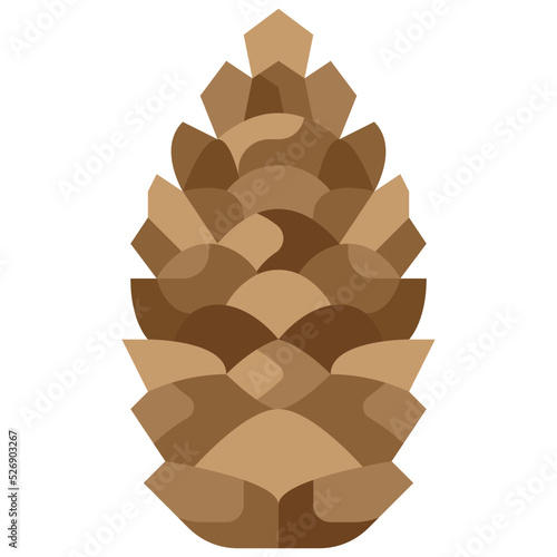 pine cone