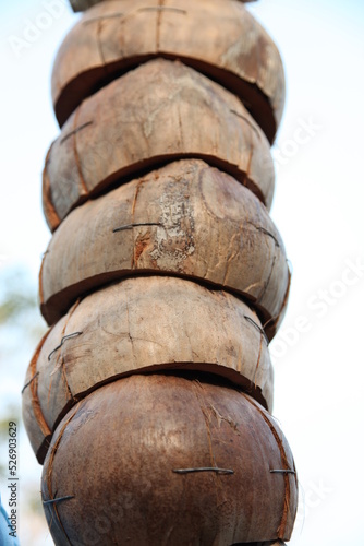 Stack of Coconut Shell