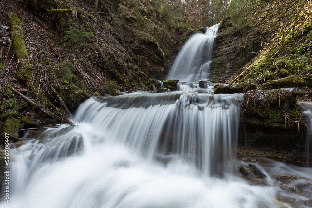Fototapeta premium A waterfall in the mountains is an untouched corner of wild nature. A waterfall with crystal water, stones and a fast current in the Ukrainian Carpathians. Long exposure.