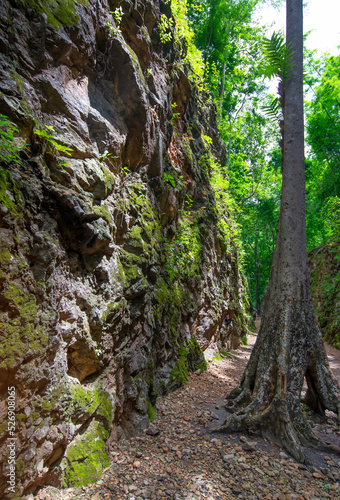 conceptual image waterfall in the forest