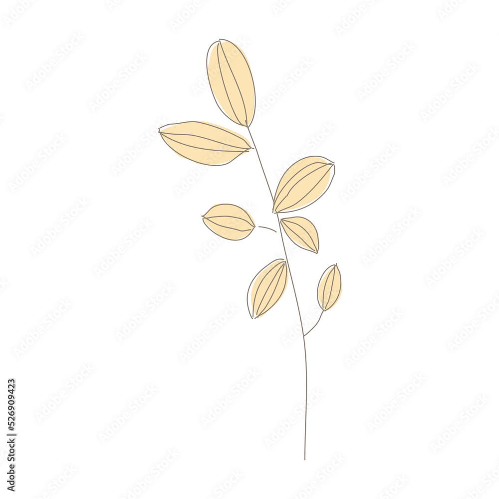 flower isolated on transparent flower isolated on transparent