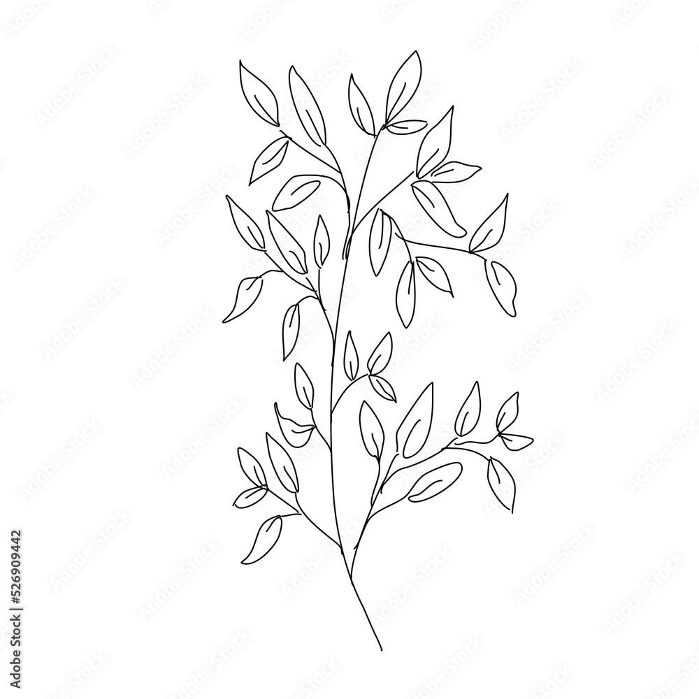 Fototapeta premium branch of a tree with leaves