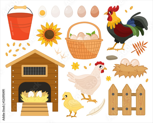 Vector illustration of a chicken family: rooster, hen and chick. Image of chicken coop and farm attributes.