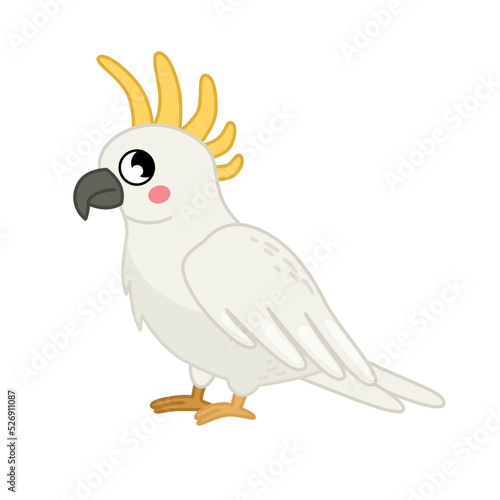 Vector  illustration of cartoon cute cockatoo isolated on white background.