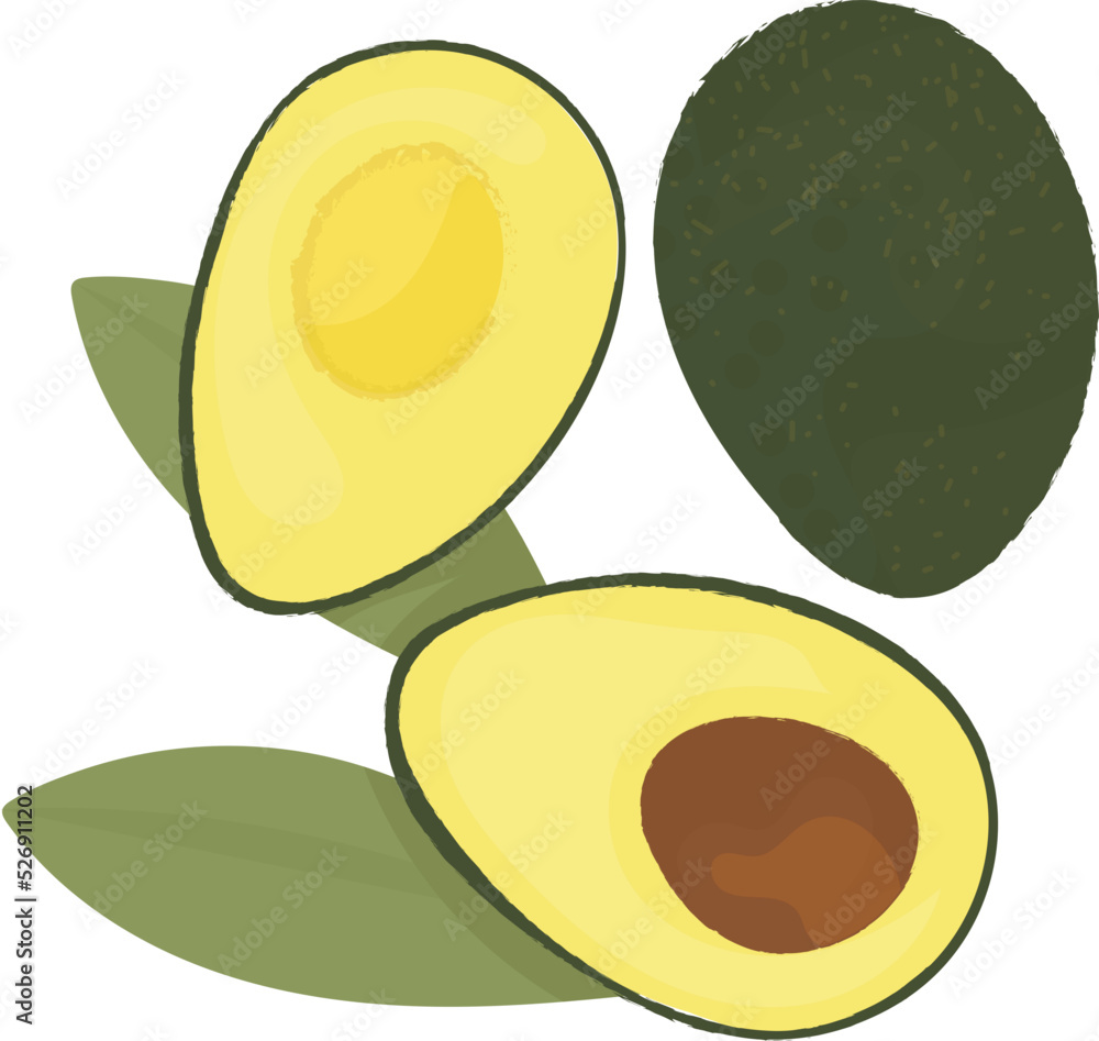 two avocados with leaves vector art two avocados with leaves vector art