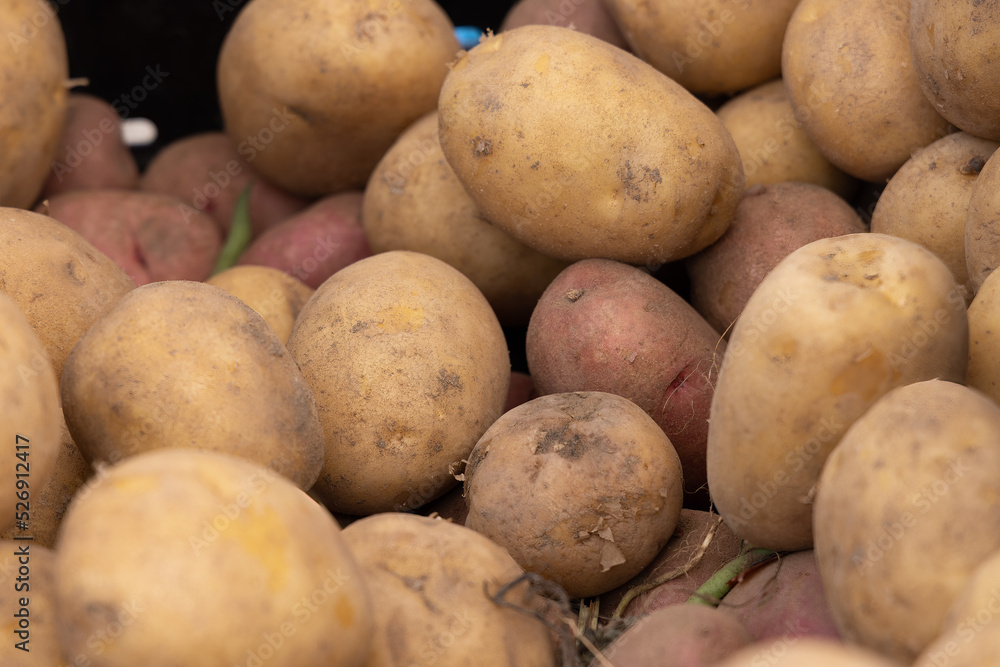 Pile of organic potatoes freshly harvested for sale at a local farmers market Pile of organic potatoes freshly harvested for sale at a local farmers market