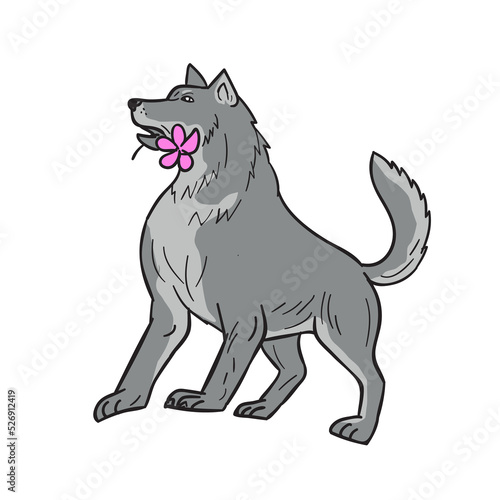 Timber Wolf Holding Plumeria Flower Drawing