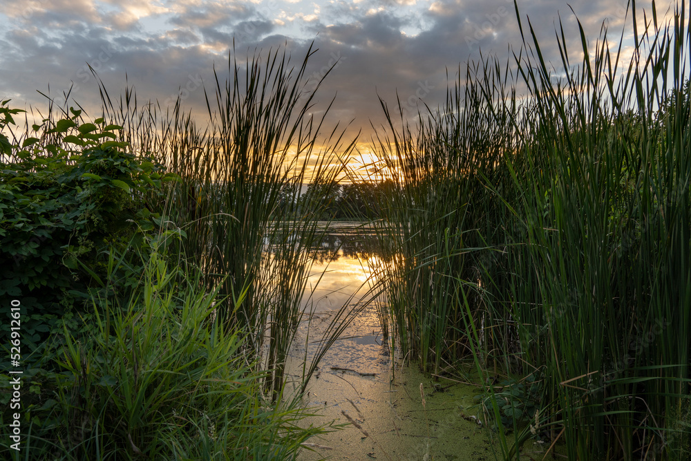 Abendstimmung in der Oberlausitzer Heide- und Teichlandschaft, Teichgebiet Milkel