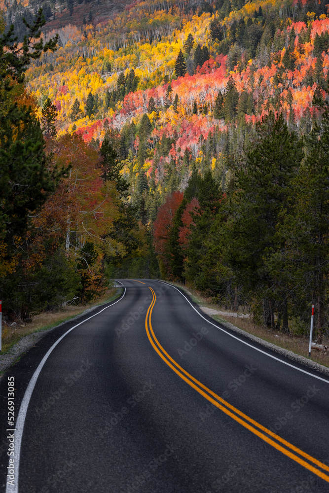 Scenic byway 150 passing through Uinta Wasatch Cache National forest in Utah Scenic byway 150 passing through Uinta Wasatch Cache National forest in Utah
