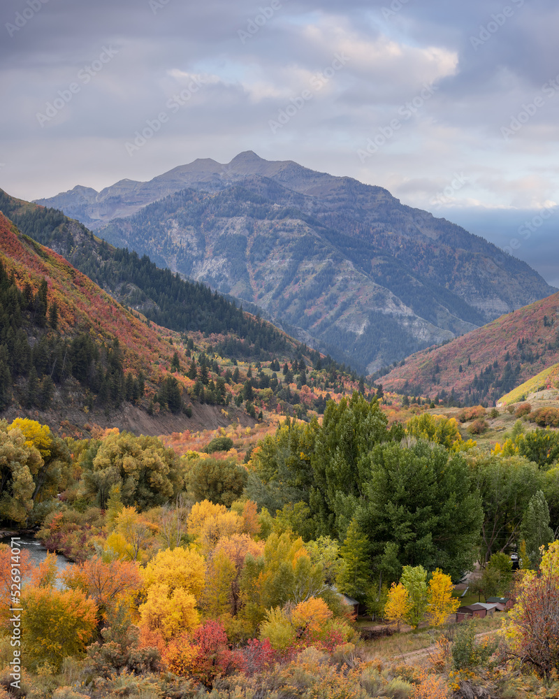 Provo canyon landscape with colorful autumn trees in Utah.