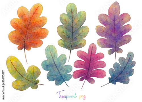Rainbow oak leaf watercolor isolated illustration  set of colorful autumn leaves on white background  thanks giving season watercolor leaf painting for printing or design.