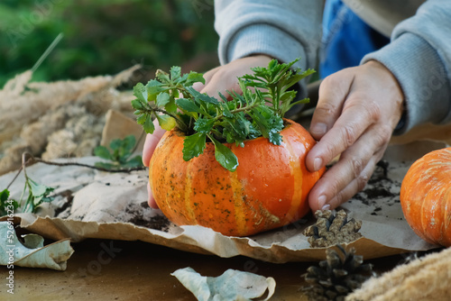 Autumn garden decor, pumpkin succulent planter.