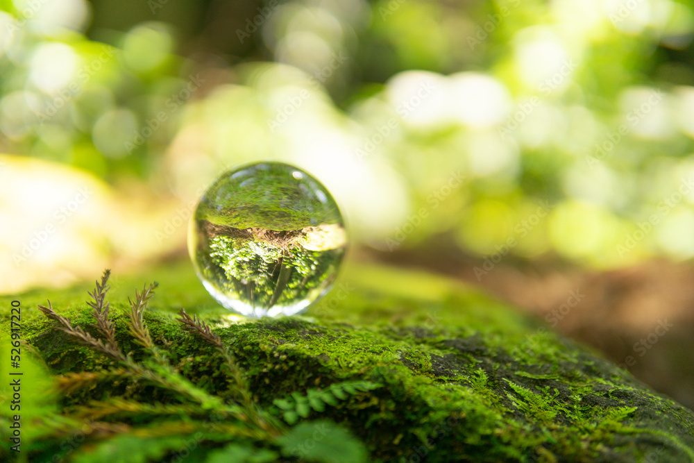 苔と水晶玉 苔と水晶玉