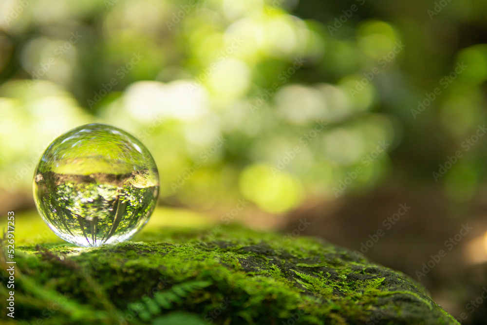 苔と水晶玉 苔と水晶玉