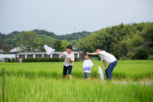 夏休み　帰省先の田舎で昆虫採取する親子　田んぼのあぜ道で撮影　トンボ採り photo