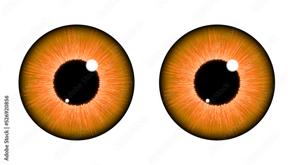 eye iris for comic, cartoon and others. You can change the color with recolor artwork