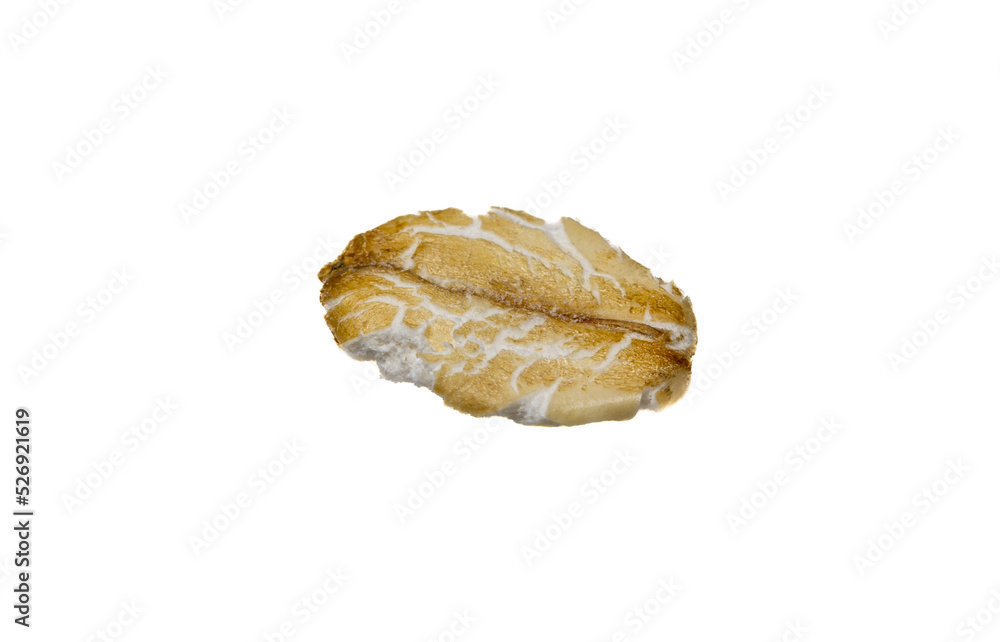 close up of oatmeal . oat grain isolated on a white background close up of oatmeal . oat grain isolated on a white background