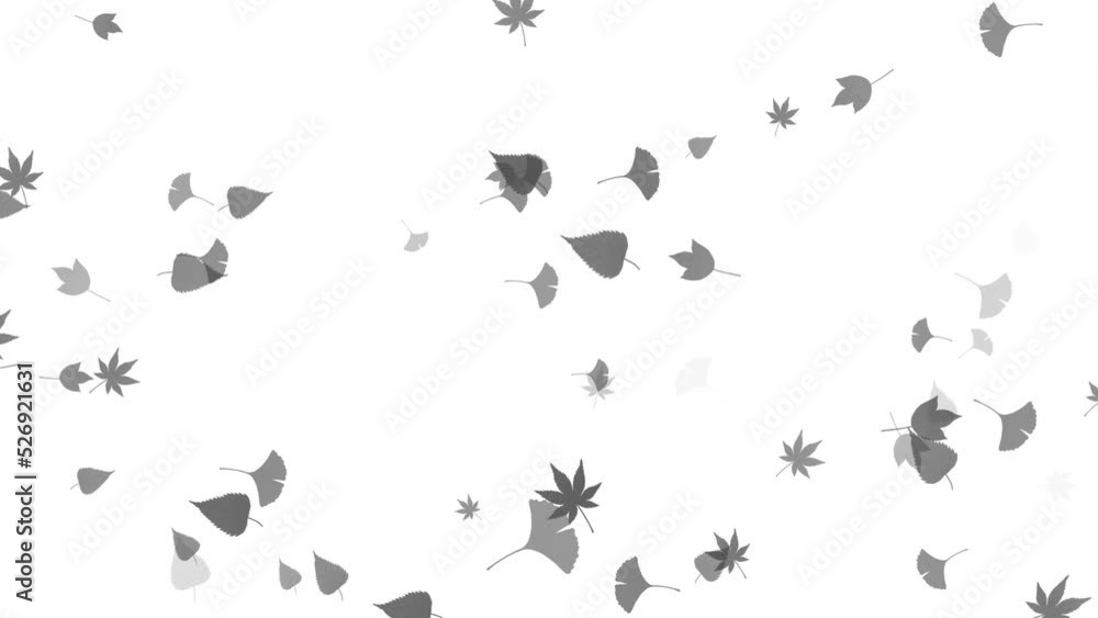 background loop autumn background loop autumn