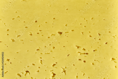 cut of fresh milk cheese close-up background backdrop