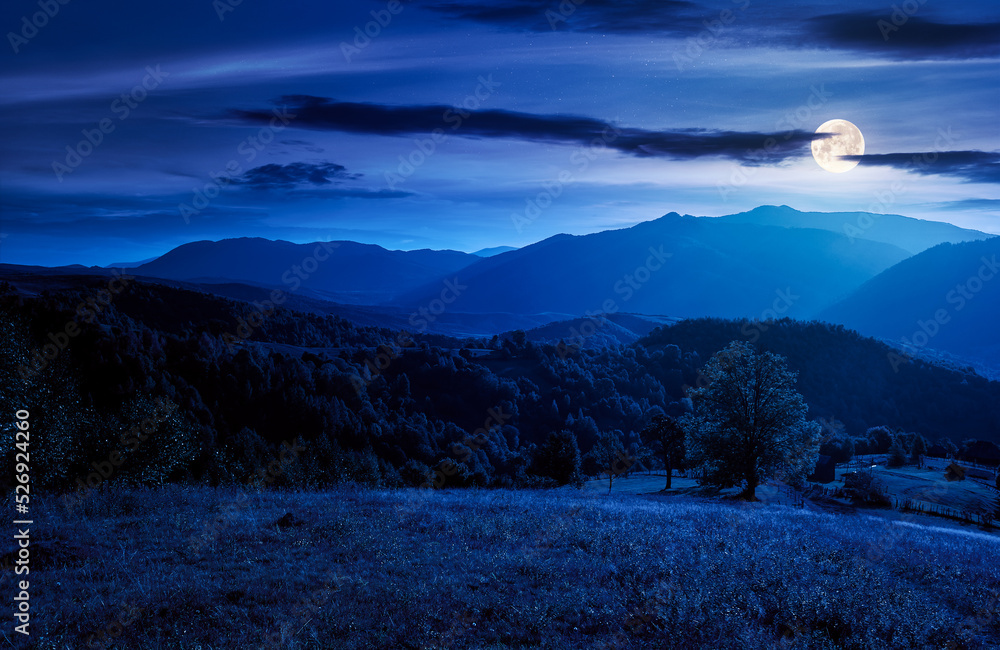 Fototapeta premium landscape of carpathian countryside at night. early autumn season in mountains in full moon light. trees on the grassy hills rolling in to the distant valley