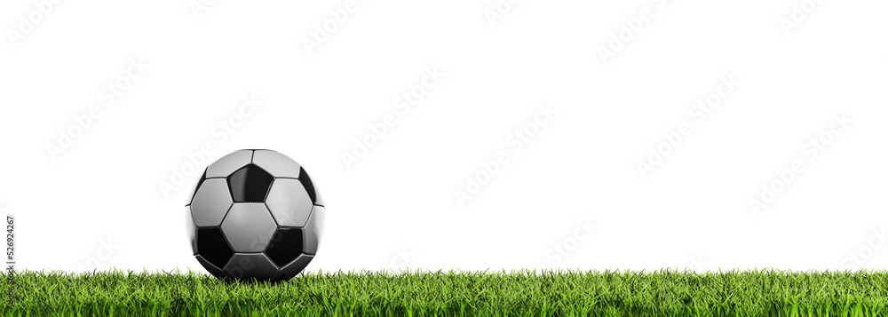 Obraz premium Ball on the grass - transparent background in PNG format - panoramic view with free space for text