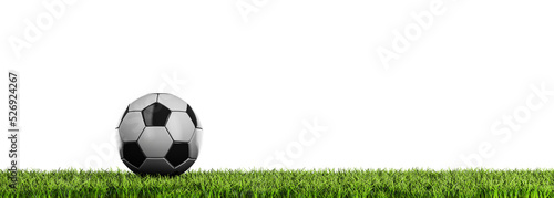 Ball on the grass - transparent background in PNG format - panoramic view with free space for text © guteksk7