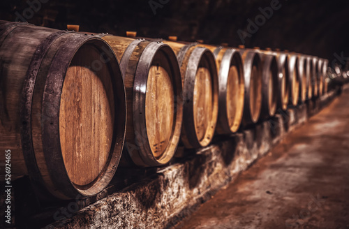 Tela Wine barrels in wine-vaults in order