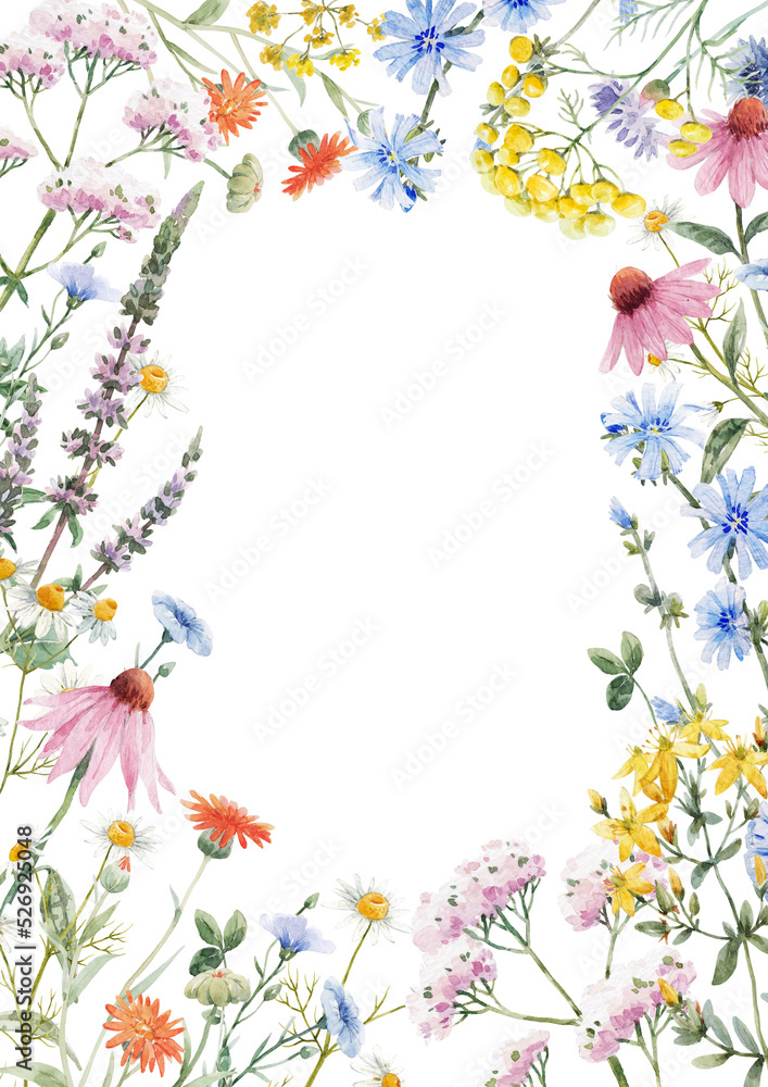 Beautiful floral frame with watercolor hand drawn summer wild field flowers. Stock illustration. Clip art.