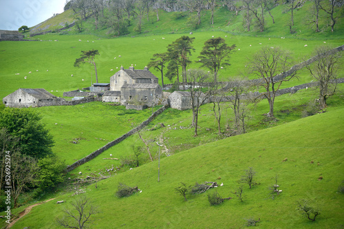 Fields and cowhouse above Clapham in Yorkshire Dales photo