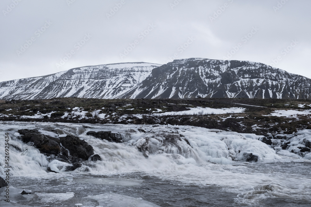 Foraging - Hvalfjörður