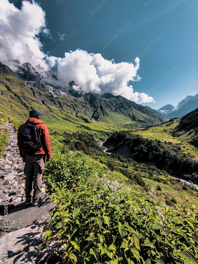 Valley Of Flowers National Park Chamoli Uttarakhand