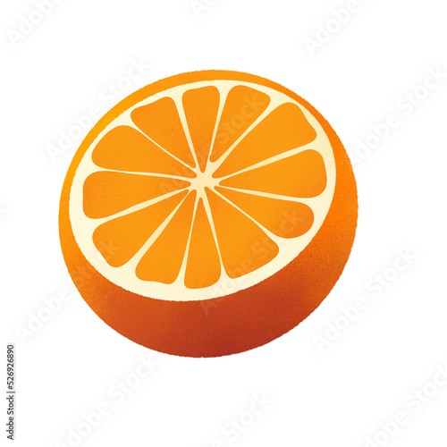 orange slices isolated on white background