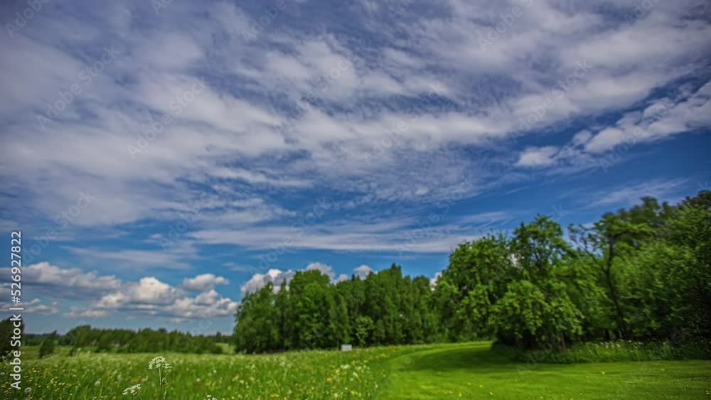 Static shot of white cloud movement in timelapse along green grasslands on the outskirts of a forest. Static shot of white cloud movement in timelapse along green grasslands on the outskirts of a forest.