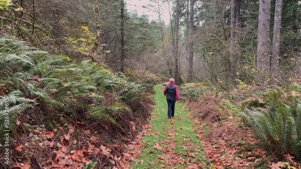 Senior Female woman walking into the distance in a forest at fall. Camera follows her looking at her back. Tracking Senior Female woman walking into the distance in a forest at fall. Camera follows her looking at her back. Tracking
