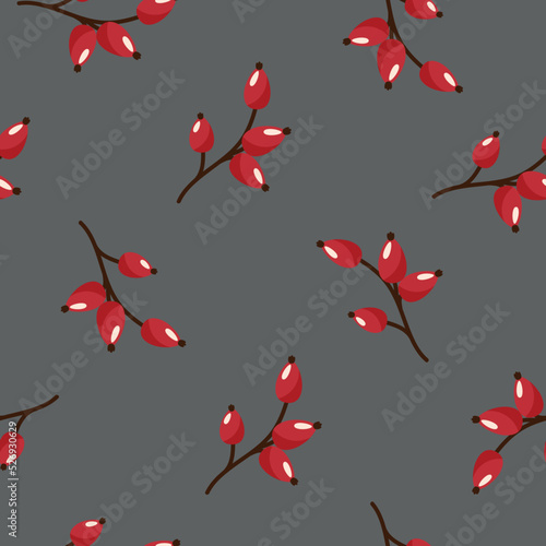 Floral Seamless pattern texture with wild rose red berries on grey background. Vector illustration with twigs.