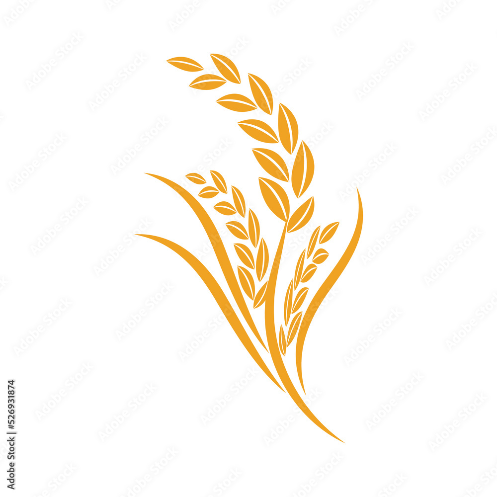 Fototapeta premium Wheat Logo template vector illustration design