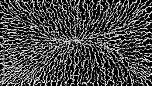 Growing plant tendrils filling screen gradually from edges to center 2d animation black over white
