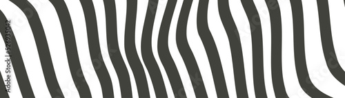 zebra skin stripes vector background