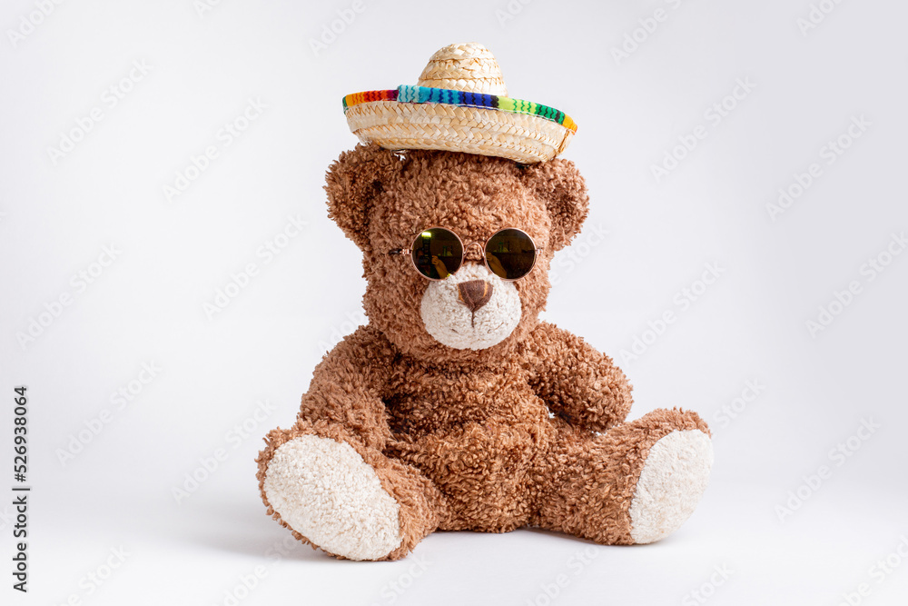teddy bear in sunglasses and straw hat on a white background, the concept of recreation teddy bear in sunglasses and straw hat on a white background, the concept of recreation