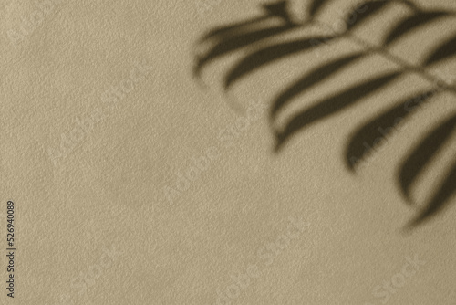 Shadows nature beige gray background. Neutral contrasting flower leaf design. Fashionable earthy decorative shades. Calm natural pastel design. The concept of the beauty of the earth. Copy space