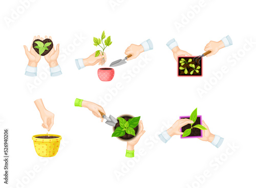 Hand Planting and Cultivating Young Sapling or Seedling Growing in Soil Vector Set