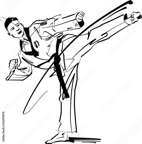 vector sketch of a karate fighter 